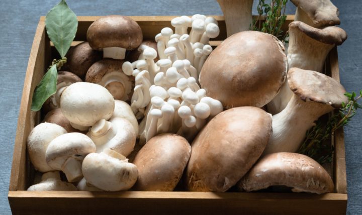 11 Benefits of Functional Mushrooms