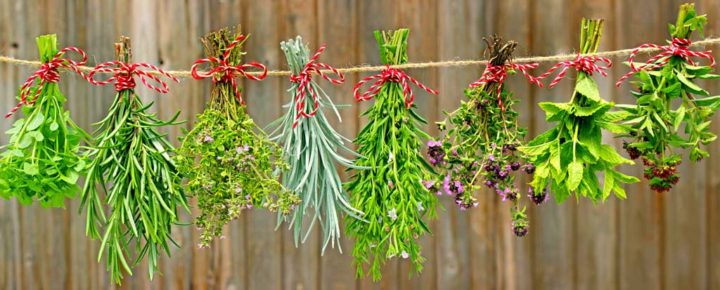 Unusual Herbs