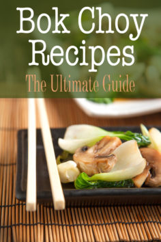 Bok Choy Recipes: The Ultimate Guide
