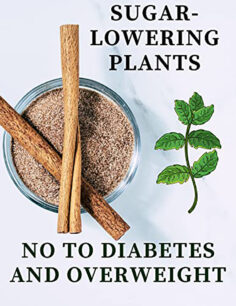 Hypoglycemic Plants: Sugar-Lowering Plants – No To Diabetes And Overweight