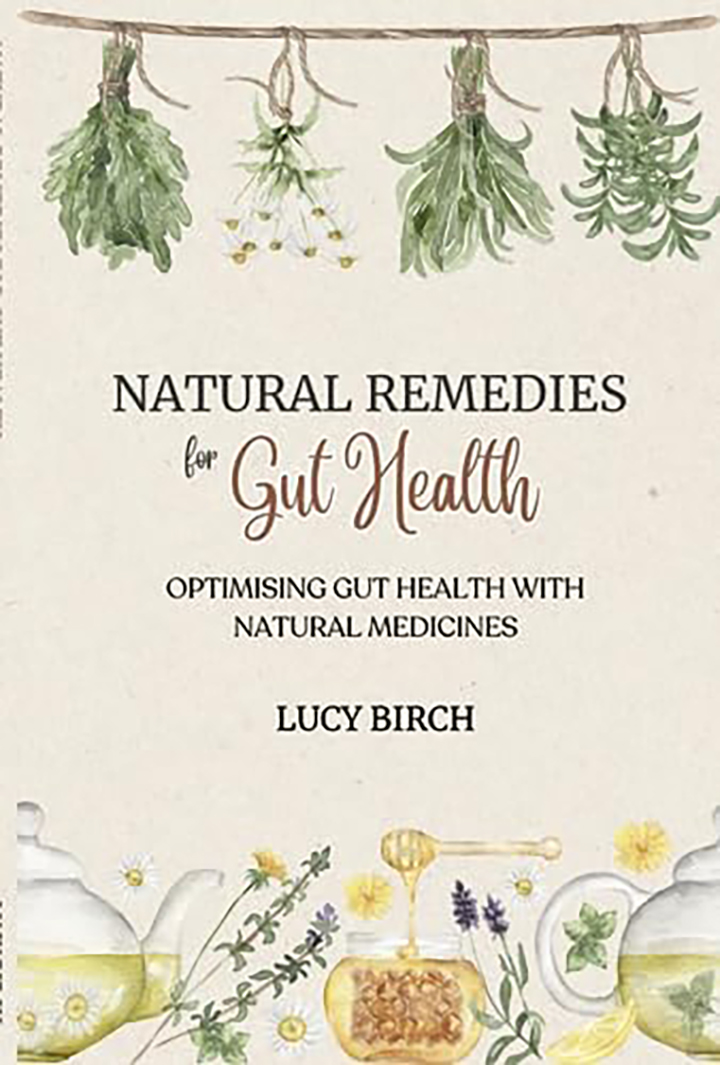 Natural Remedies For Gut Healthk
